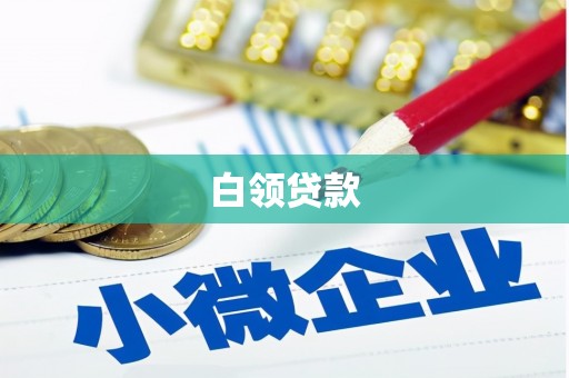 略阳白领贷款