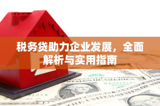 略阳税务贷助力企业发展，全面解析与实用指南