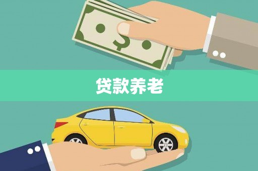 略阳贷款养老