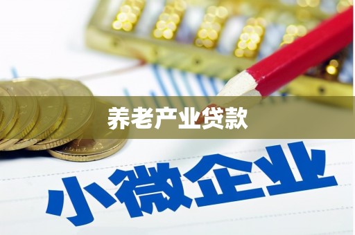 略阳养老产业贷款