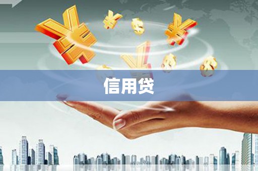 略阳信用贷
