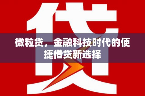 略阳微粒贷，金融科技时代的便捷借贷新选择