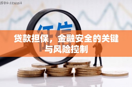 略阳贷款担保，金融安全的关键与风险控制