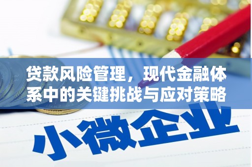 略阳贷款风险管理，现代金融体系中的关键挑战与应对策略