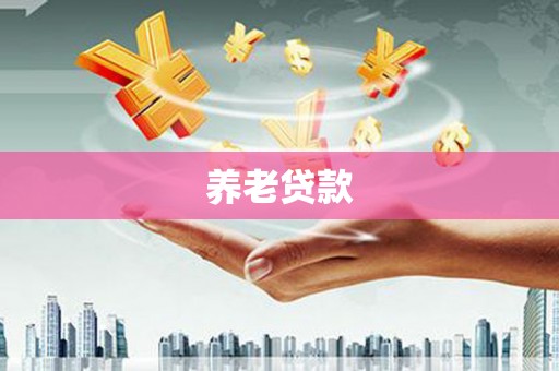 略阳养老贷款