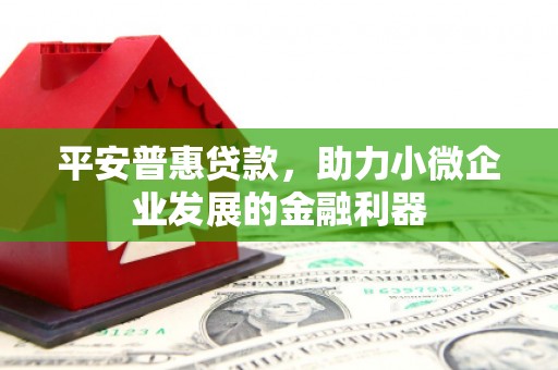 略阳平安普惠贷款，助力小微企业发展的金融利器