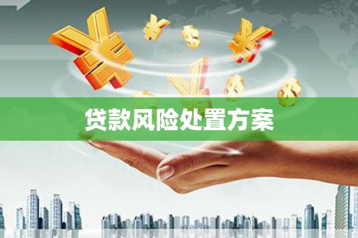 略阳贷款风险处置方案