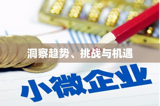 略阳洞察趋势、挑战与机遇