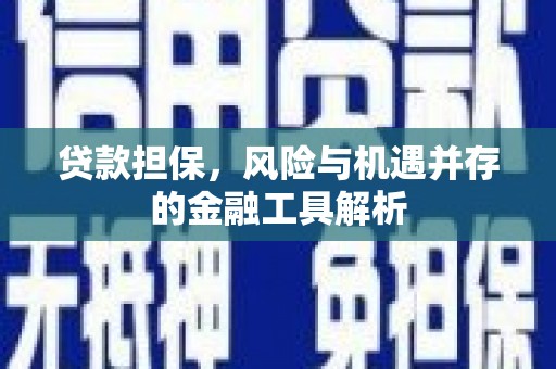 略阳贷款担保，风险与机遇并存的金融工具解析