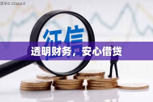 略阳透明财务，安心借贷