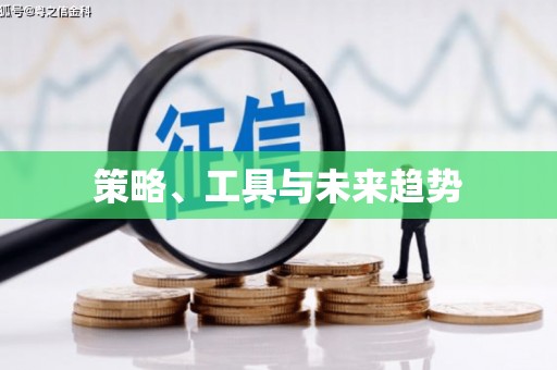 略阳策略、工具与未来趋势