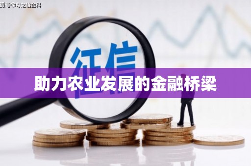 略阳助力农业发展的金融桥梁