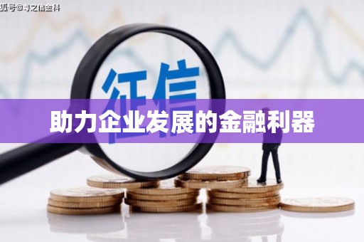 略阳助力企业发展的金融利器