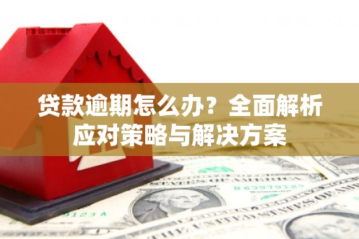 略阳贷款逾期怎么办？全面解析应对策略与解决方案