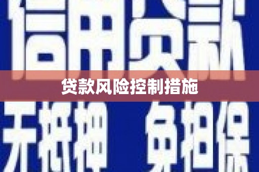 略阳贷款风险控制措施