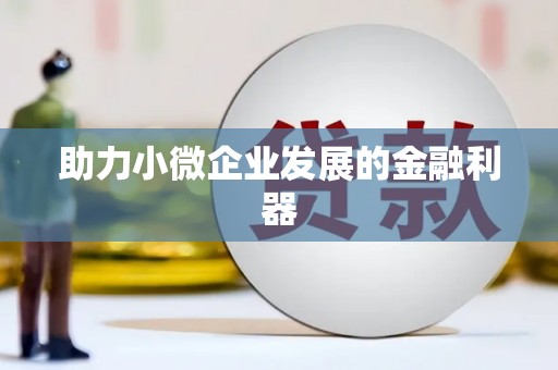 略阳助力小微企业发展的金融利器