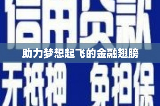 略阳助力梦想起飞的金融翅膀