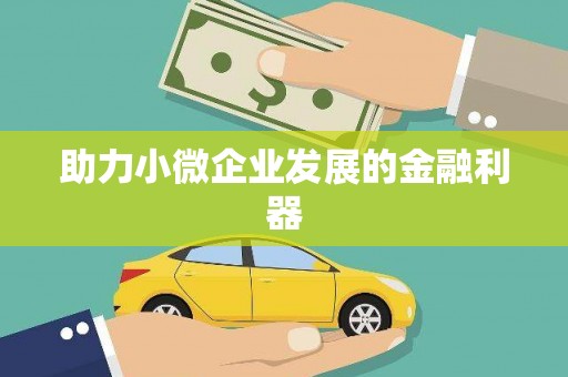 略阳助力小微企业发展的金融利器