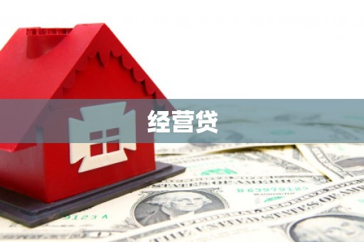 略阳经营贷