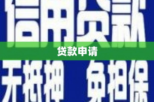 略阳贷款申请