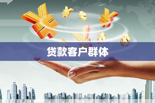 略阳贷款客户群体
