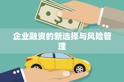 略阳企业融资的新选择与风险管理