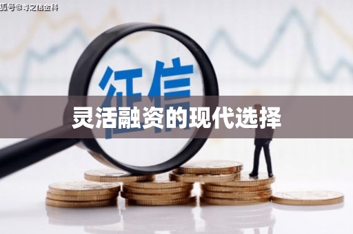 略阳灵活融资的现代选择
