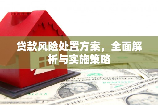 略阳贷款风险处置方案，全面解析与实施策略