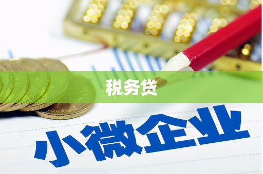 略阳税务贷