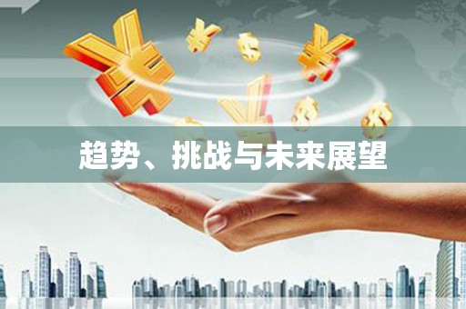 略阳趋势、挑战与未来展望