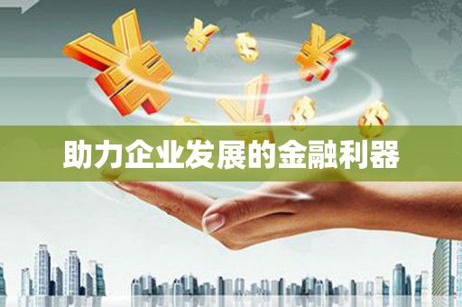 略阳助力企业发展的金融利器