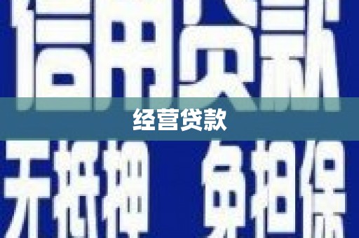 略阳经营贷款