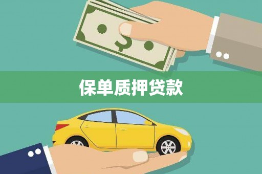 略阳保单质押贷款
