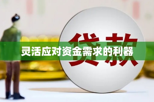 略阳灵活应对资金需求的利器