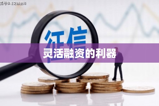 略阳灵活融资的利器