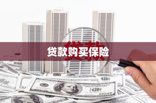 略阳贷款购买保险