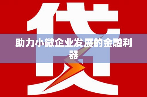 略阳助力小微企业发展的金融利器