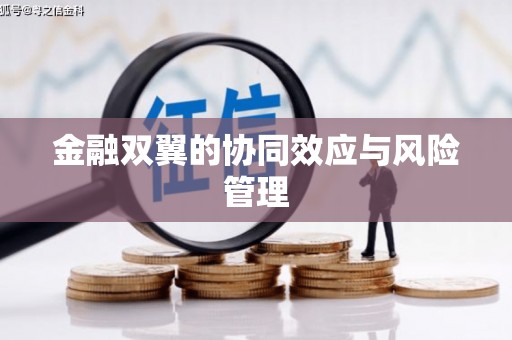 略阳金融双翼的协同效应与风险管理
