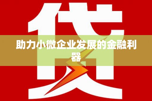 略阳助力小微企业发展的金融利器