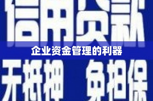 略阳企业资金管理的利器