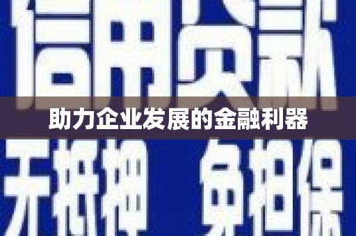 略阳助力企业发展的金融利器