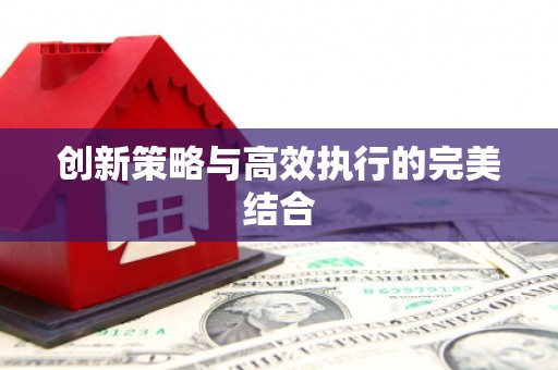 略阳创新策略与高效执行的完美结合