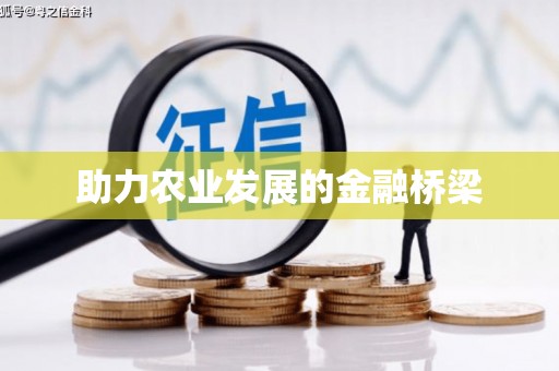 略阳助力农业发展的金融桥梁