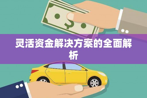 略阳灵活资金解决方案的全面解析
