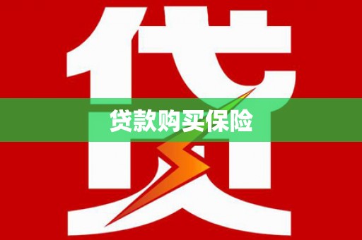 略阳贷款购买保险