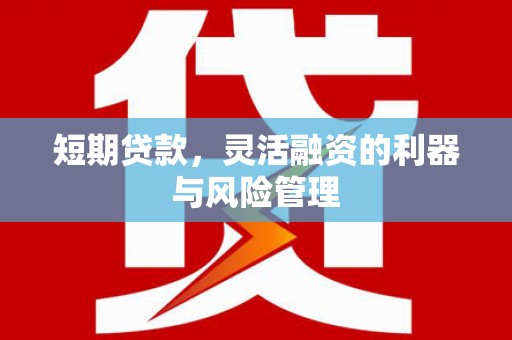 略阳短期贷款，灵活融资的利器与风险管理