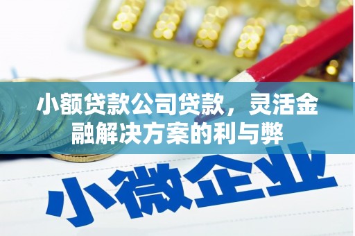 略阳小额贷款公司贷款，灵活金融解决方案的利与弊
