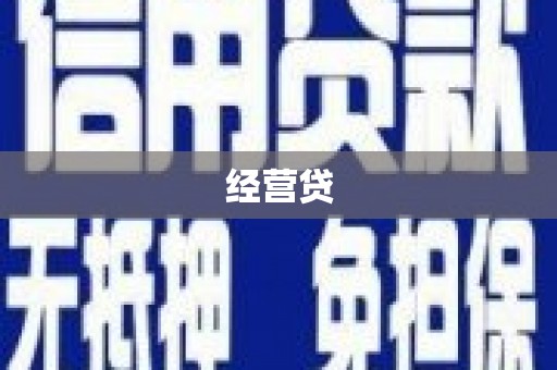 略阳经营贷