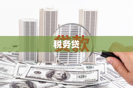 略阳税务贷